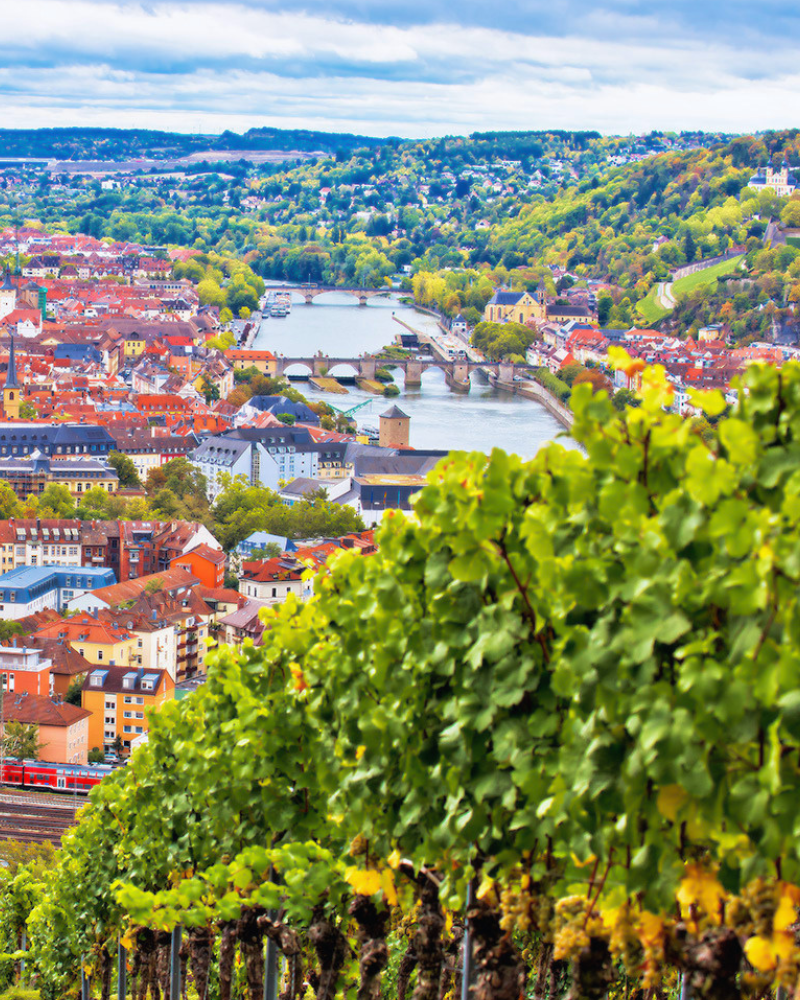 Würzburg Weinberge Grombühl Aussicht Weinberge in Würzburg Grombühl mit Blick über die Stadt und den Main