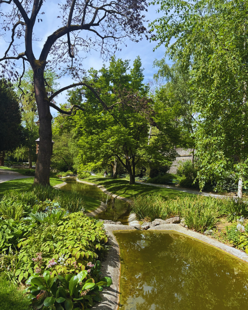Würzburg Ringpark Klein Nizza Parkanlage Klein Nizza im Ringpark in Würzburg mit Wasser und Grünflächen